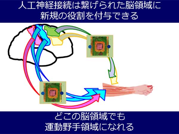 人工神経接続に関するイメージ画像4