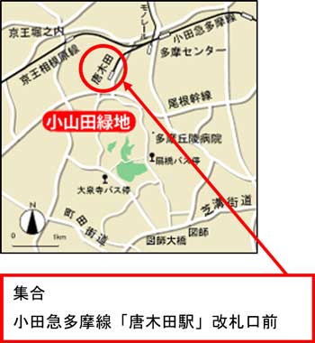 公園への地図