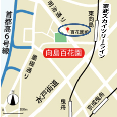 公園への地図