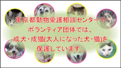 デジタルサイネージのイメージ画像