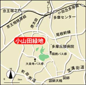 公園への地図