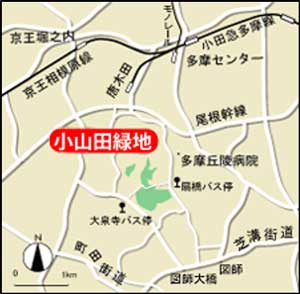 公園への地図