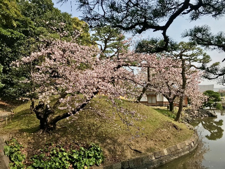 園内の様子の写真