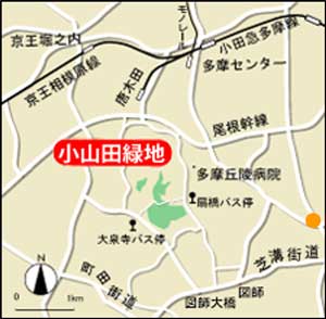 公園への地図