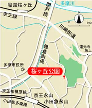 公園への地図