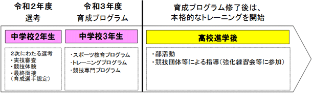 事業の流れの概要図