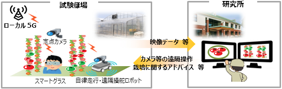 事業の流れの概要図