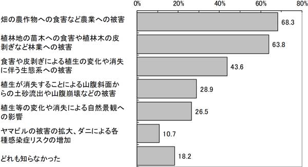 グラフの画像