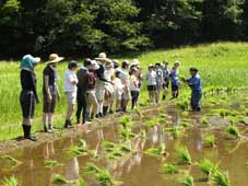 図師小野路歴史環境保全地域の写真