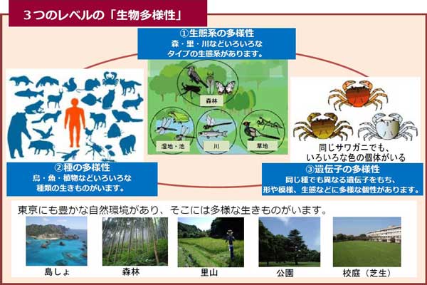 生物多様性の画像