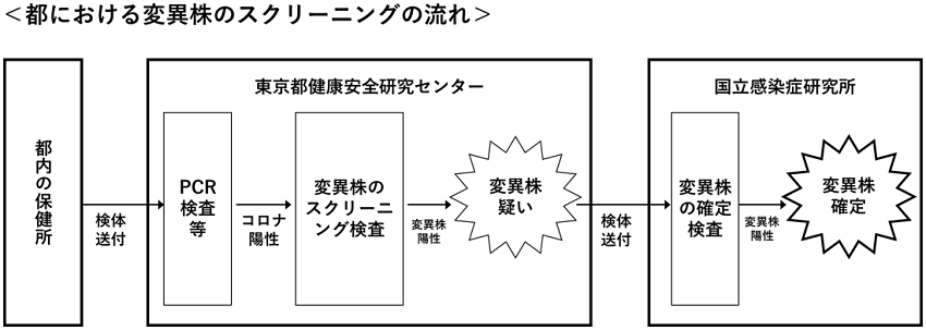 変異株のスクリーニングの流れの画像