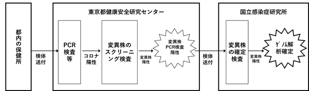 都における変異株スクリーニングの流れ図