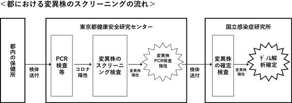 都における変異株のスクリーニングの流れ図