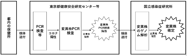 変異株スクリーニングの流れ図