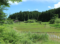 里山の写真