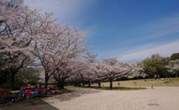 海上公園の写真2