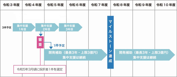 スケジュール概要図