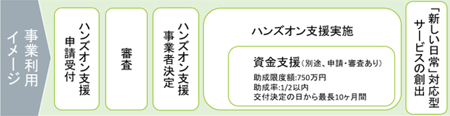 事業の概要のイメージ図