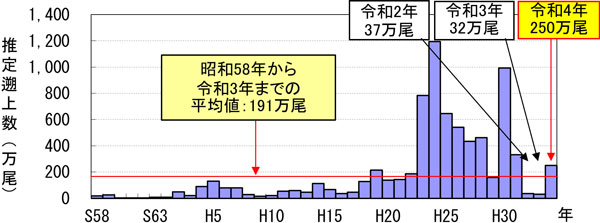 グラフの画像1