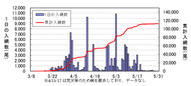 グラフ2