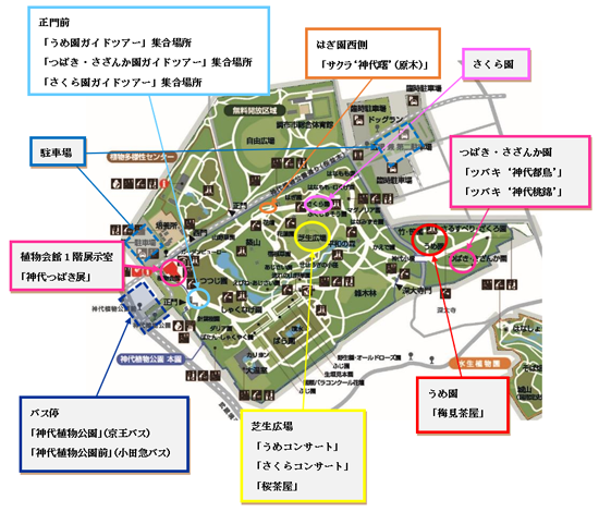 地図の画像