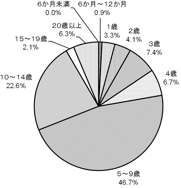 円グラフの画像